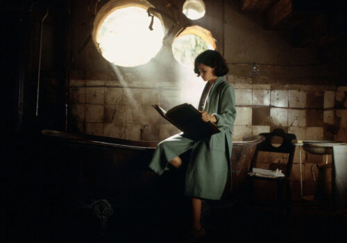 The Timeless Connection Between Books and Tranquility 8