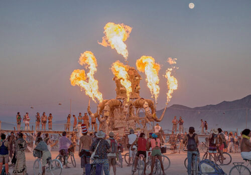 #FestivalVibes: Art, Fire, and Community Spirit 3