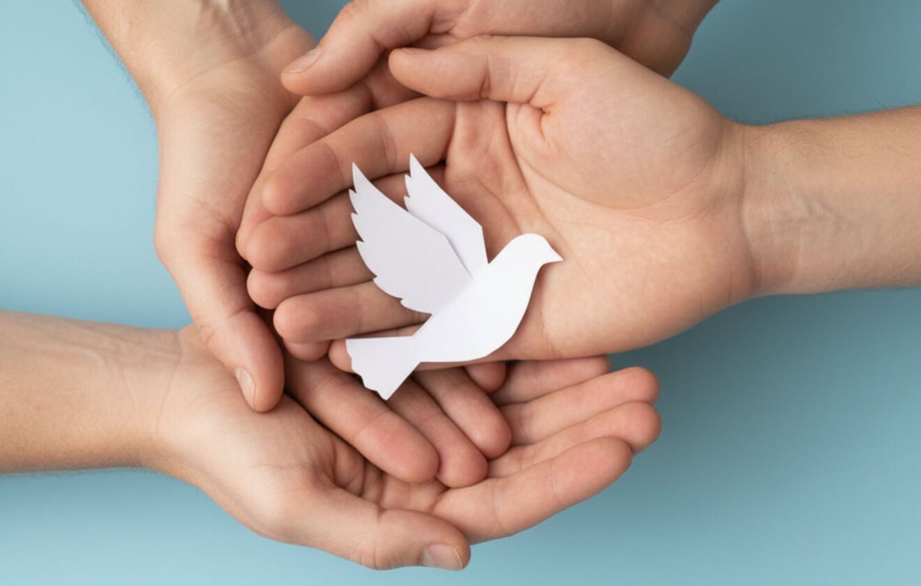 Breve acercamiento a la justicia electoral ecuatoriana 1