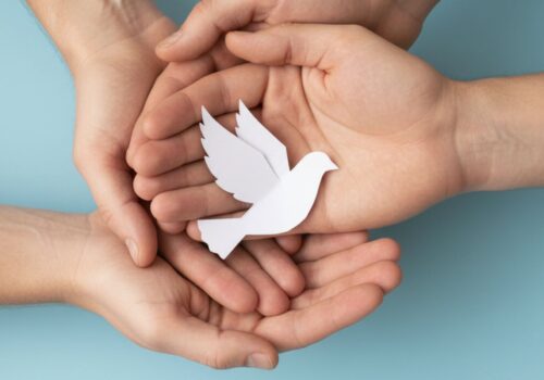 Breve acercamiento a la justicia electoral ecuatoriana 12