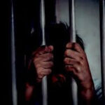 El derecho penal ¿es solución al problema delincuencial? 2