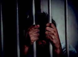 El derecho penal ¿es solución al problema delincuencial? 1