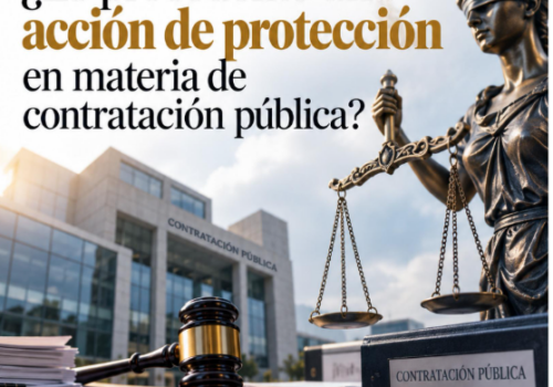 ¿Es procedente una acción de protección en materia de contratación pública? 1